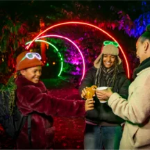 Colourful illuminated Christmas light installations promoting the Winter Light Experience at The Belfry near Sutton Coldfield.