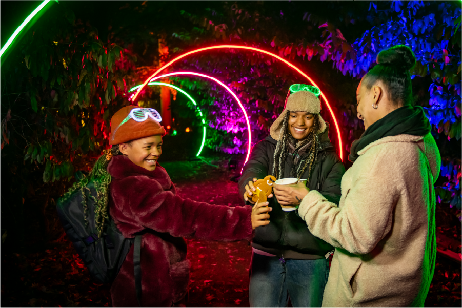 Colourful illuminated Christmas light installations promoting the Winter Light Experience at The Belfry near Sutton Coldfield.